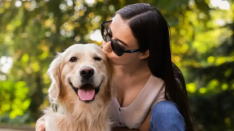 8 Cute Ways To Celebrate National Dog Day Beyond Basic Puppy Treats
