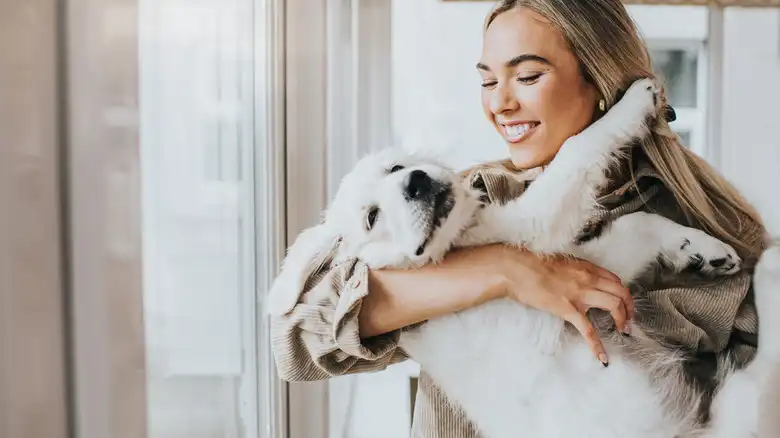 Is Your Dog Happy? 15 Signs Of A Pleased Pup