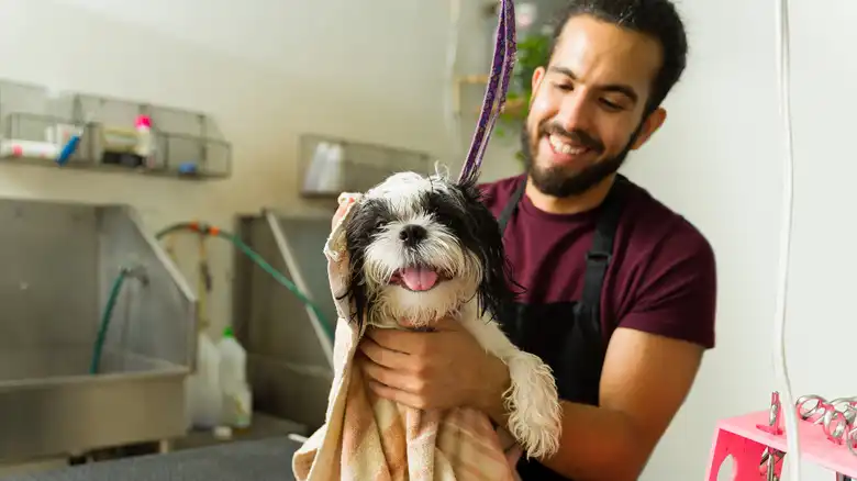 14 Tips For A Stress-Free Visit To The Dog Groomer